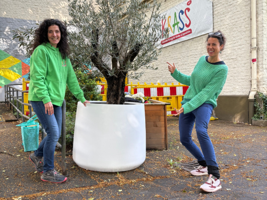 Original Wish Tree von Yoko Ono steht jetzt dauerhaft bei KRASS