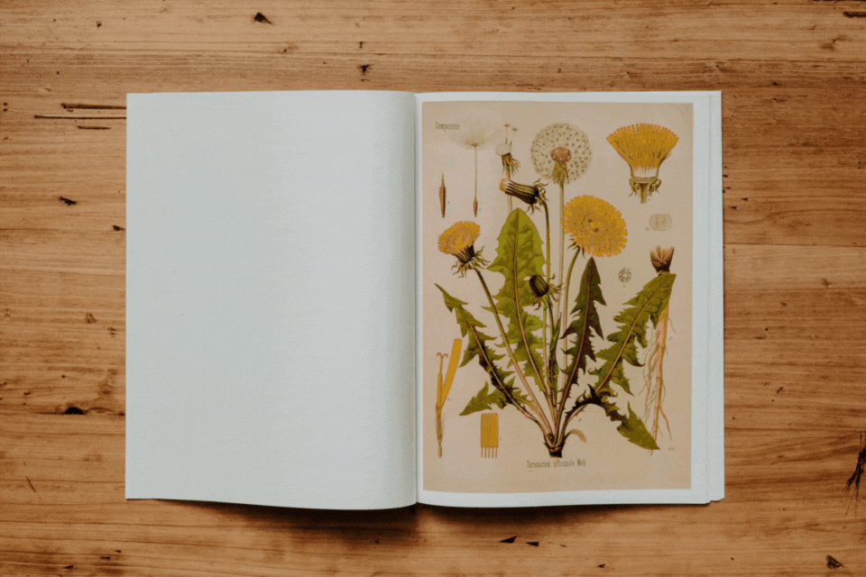 Stop Motion Workshop in Düsseldorf für Kinder